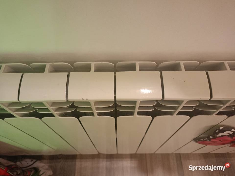 Grzejnik aluminiowy 20 żeberek Czeladź