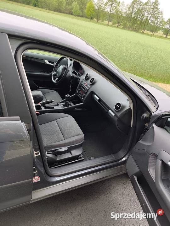 Audi a3 8P 20TDI z Niemiec Dzbanki