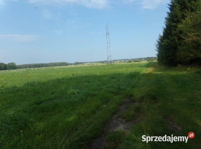 Syndyk sprzeda działkę w m Wrzesinia z udziałem Wrzesina