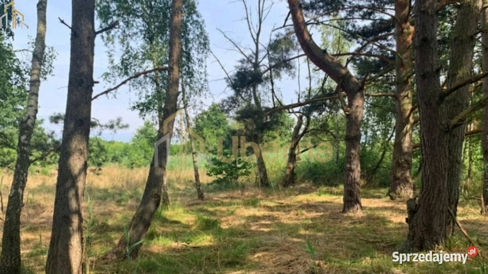 Działka morzem budowlana Sprzedaż zachodniopomorskie Międzywodzie