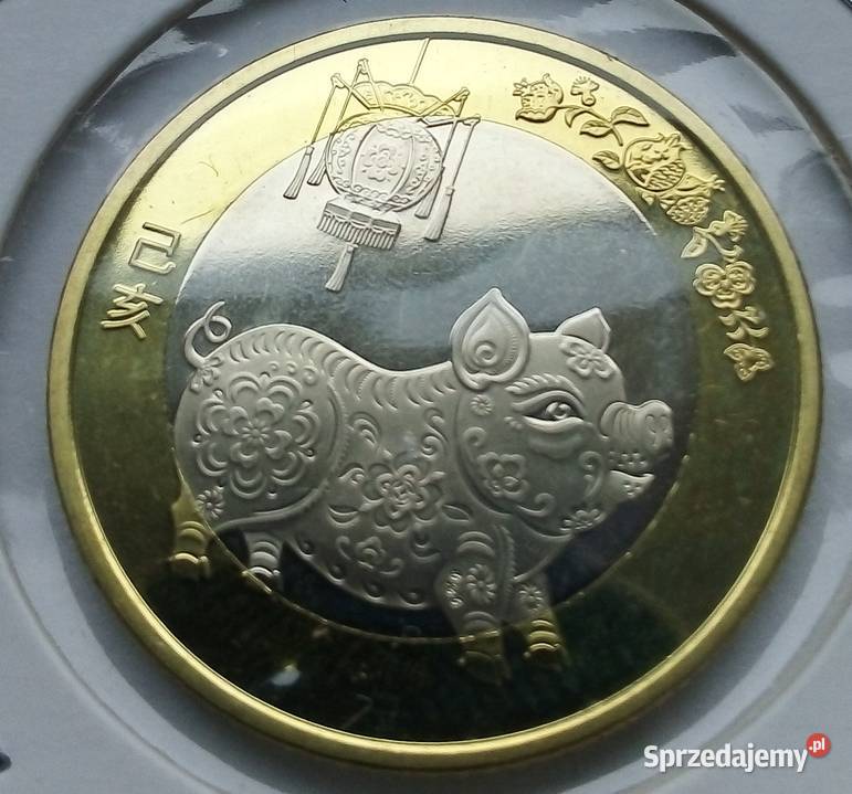 CHINY 10 YUAN 2019 r ŚWINI W HOLDERZEBŁADNA Legionowo