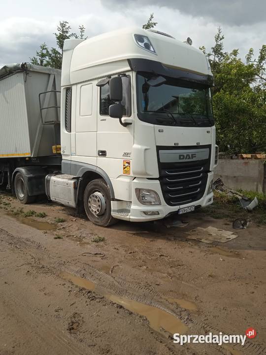 daf xf 106 specjalny Wilczyn