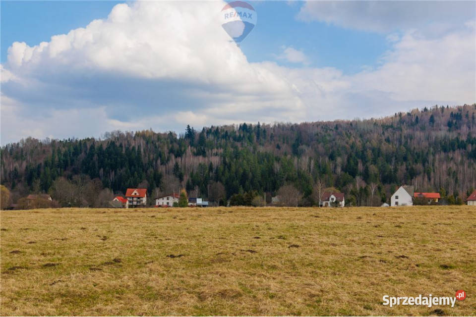 Działka w Sopotni Wielkiej kŻywca rolna Sopotnia Wielka sprzedam