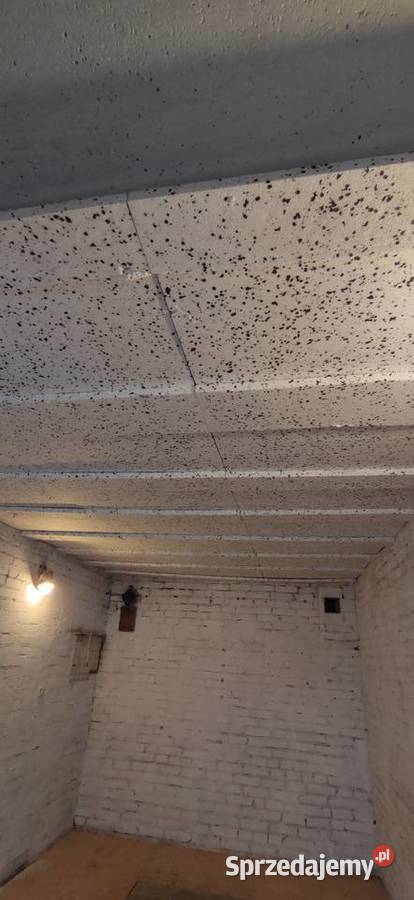 Sprzedam garaż nieruchomość Warszawa