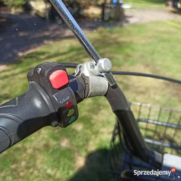 Rower elektrycznospalinowy