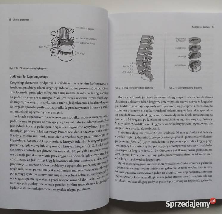Ukryta przewaga Trening mięśni głębokich Tom Bełchatów