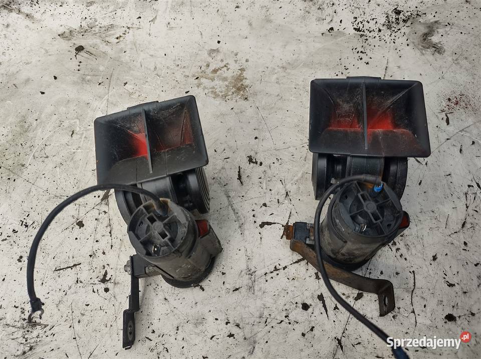 NISSAN MURANO Z50 klakson trąbka Kielce