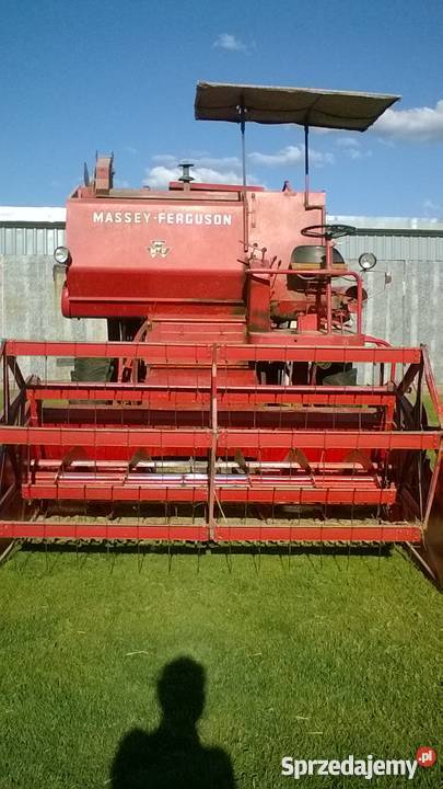 sprzedam kombajn massey ferguson 87 Paradyż sprzedam