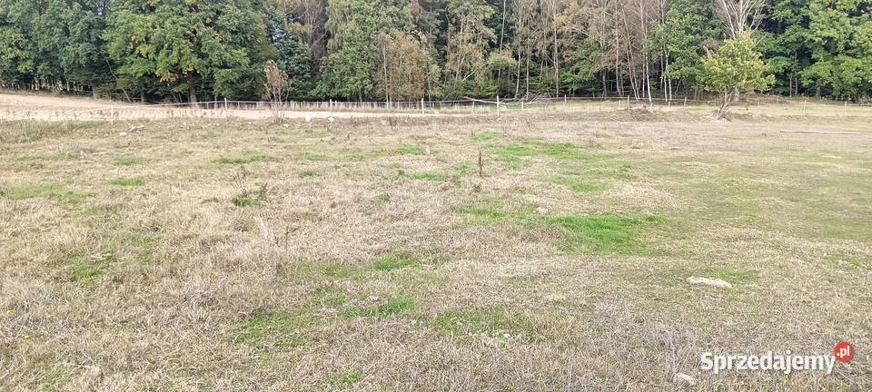 Działka w Szemudzkiej Hucie 149 M2