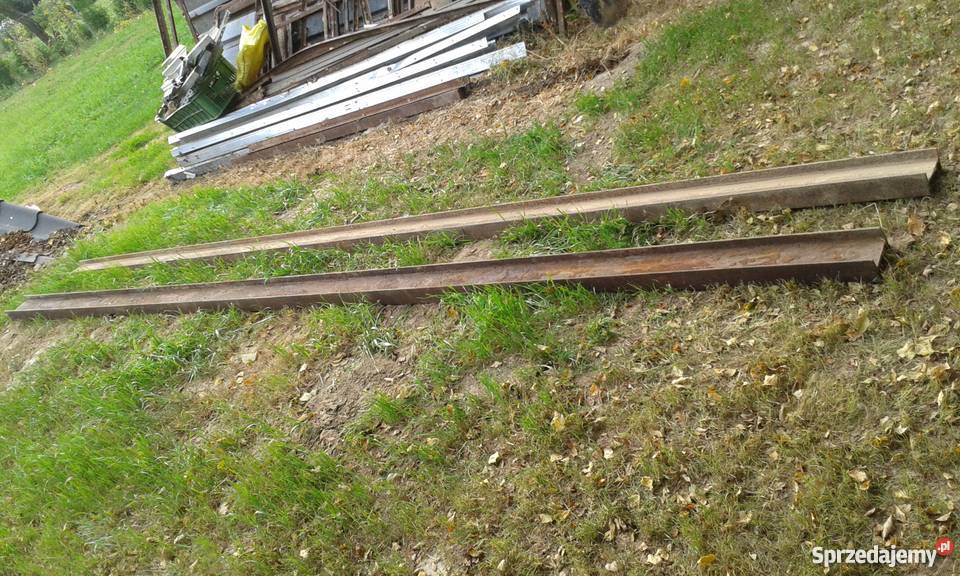 Dwuteowniki długie Lublin