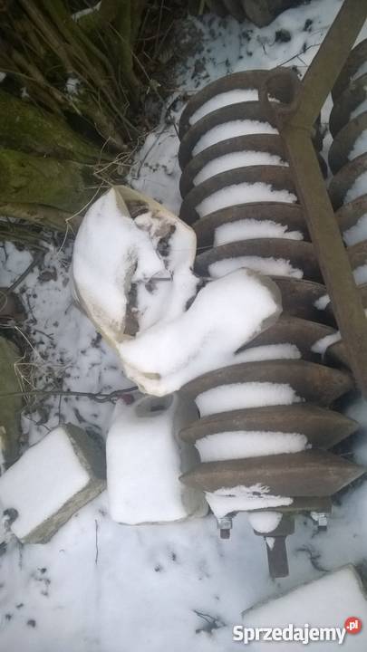 Wał pierścieniowy Zakrzew