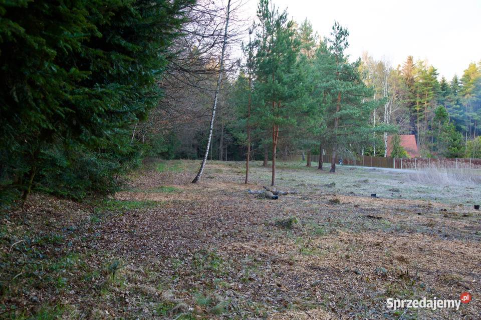 DZIAŁKA BUDOWLANOROLNA Z PIĘKNYM WIDOKIEM Sprzedaż Wysoka