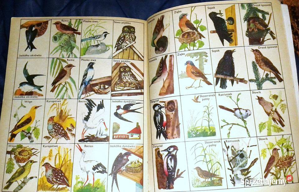 Razem ze słonkiem Wiosna 2 Maria Kownacka Chełm