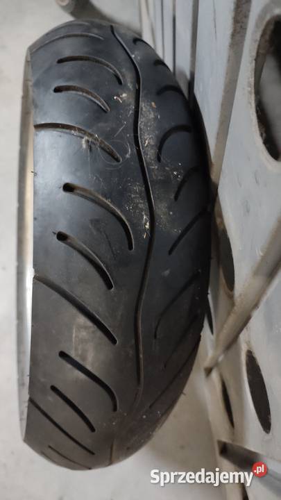 KOŁO DO MALAGUTI F 12 dolnośląskie Wrocław
