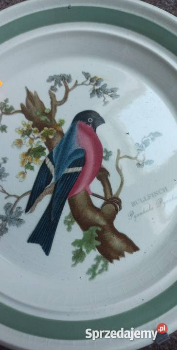 Talerzyk Ptaki Brytanii Portmeiron Made in Porcelana i szkło pomorskie Gdańsk