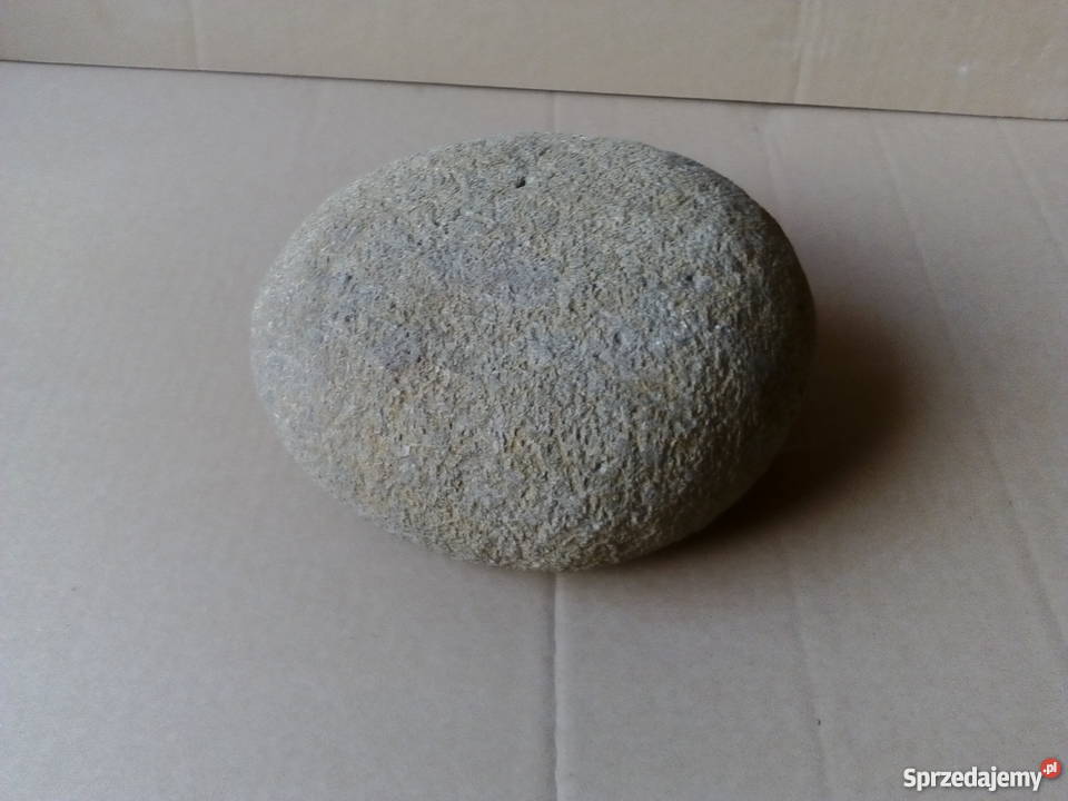 Ciekawy kamień polny Przypomina bochenek chleba Brwinów