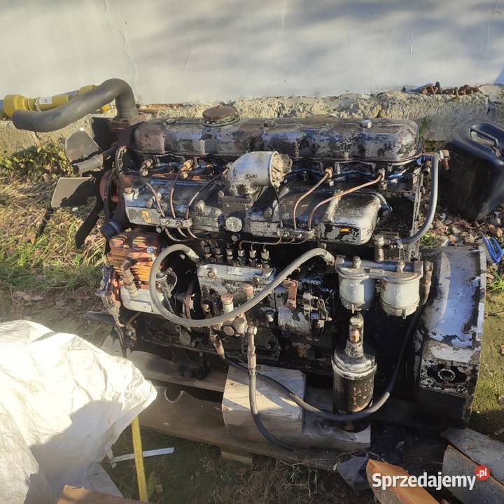 Silnik leyland sw 400 Tarnów sprzedam