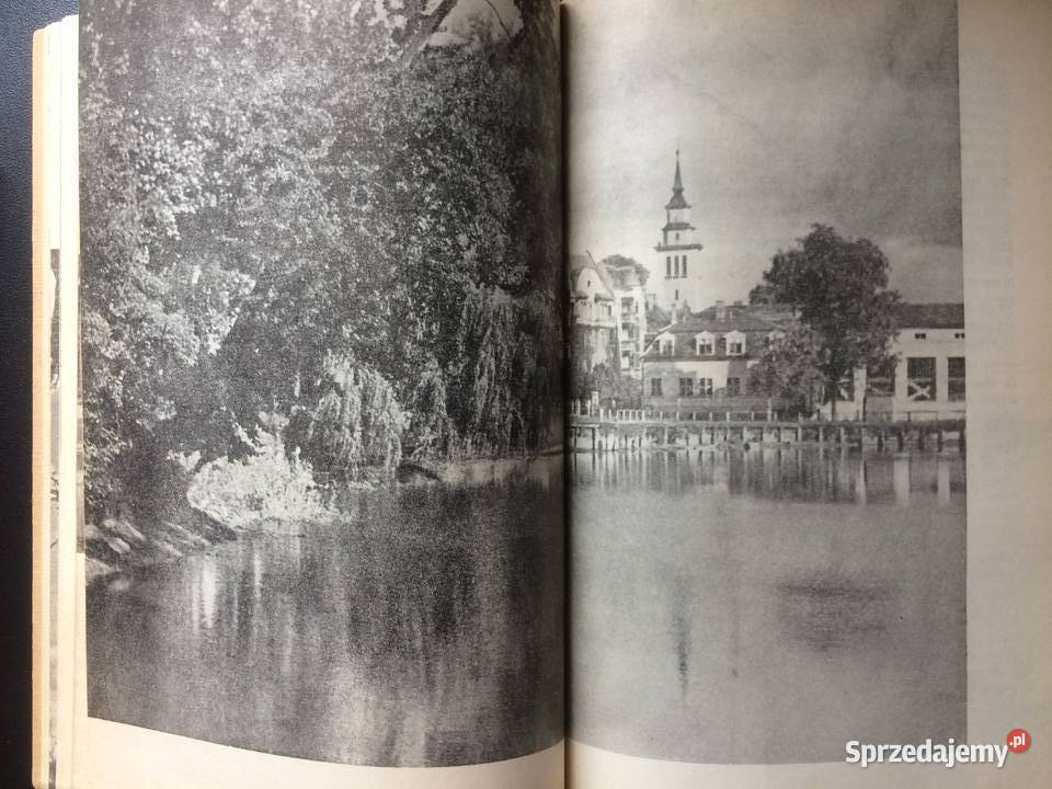 3302 Szczecin Miasto Parków I Zieleni