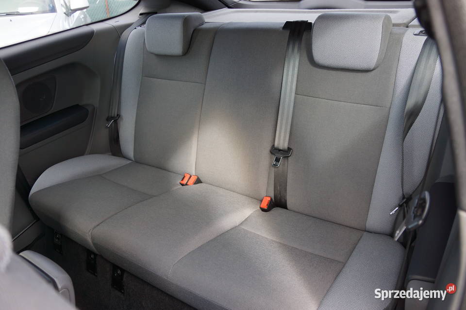 Ford Focus ST 25 Benzyna 225 Klimatronic Ksenon Nowy Sącz