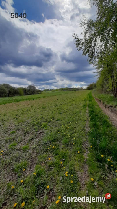 Grunty z potencjałem inwestycyjnym Rzeszów os