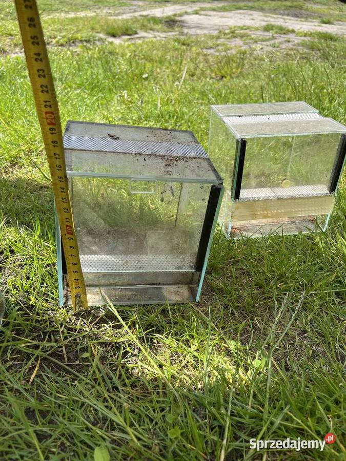 3x Terrarium kostka 15x15x15 gilotyna mini Terrarystyka Nowogard