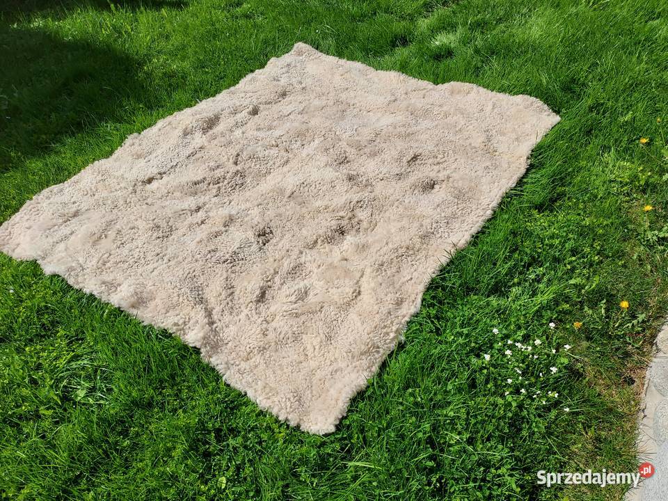 Naturalna Narzuta Dywan ze Skór Owczych Kręcony Dom i Ogród Szaflary sprzedam