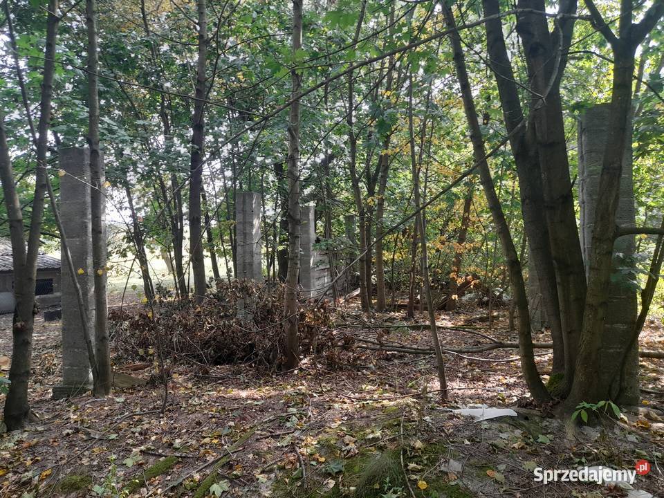 Syndyk sprzeda udziały w grunatach Jastkowice leśna Stalowa Wola
