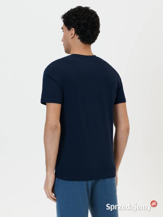 tshirt męski Sinsay Rozmiar L małopolskie