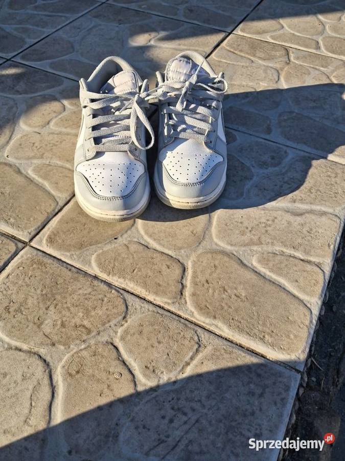 Buty nike 40 dunk Lisice