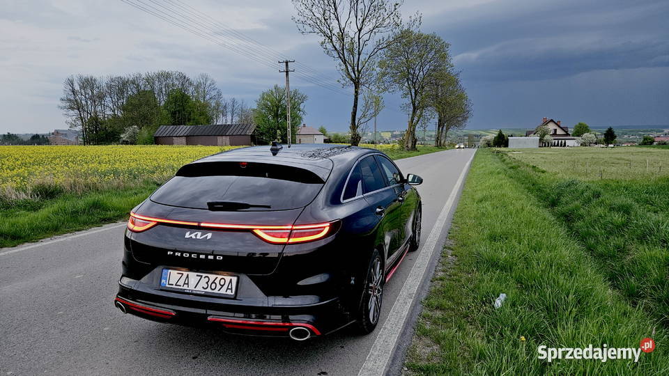 Kia PRoceed GT 16 204 konie Zawada