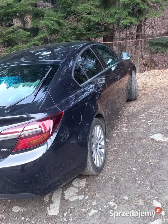 Opel Insignia 20 diesel 170 serwisowany radio Suszec