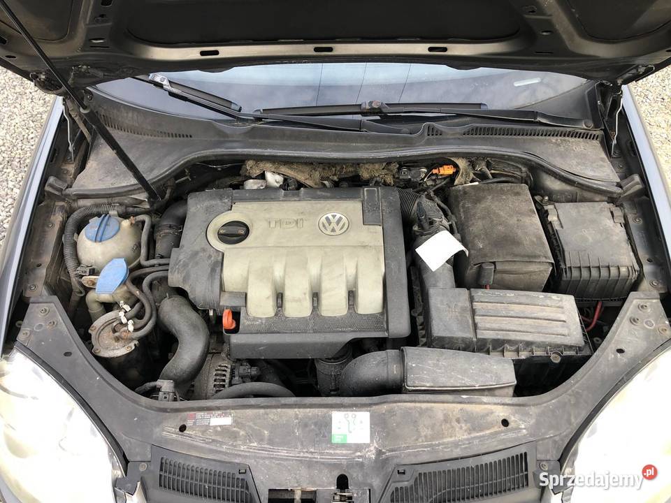 Volkswagen Golf V 20 TDI Comfortline DSG Rok produkcji 2007 Skawina