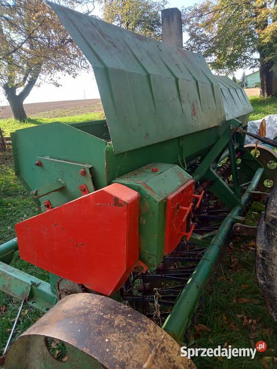 1700 małopolskie Nowy Sącz