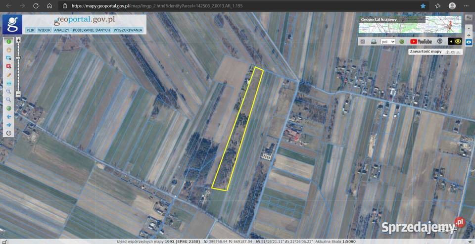 Działka rolna 26 300 m2 w Tadeuszowie kPionek Tadeuszów