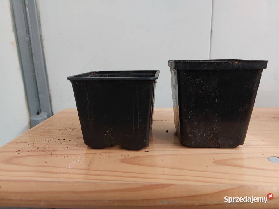 Doniczki produkcyjne szkółkarskie używane Sompolno