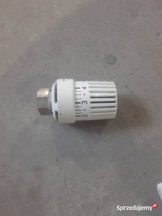 Termostaty podkarpackie Zalesie sprzedam