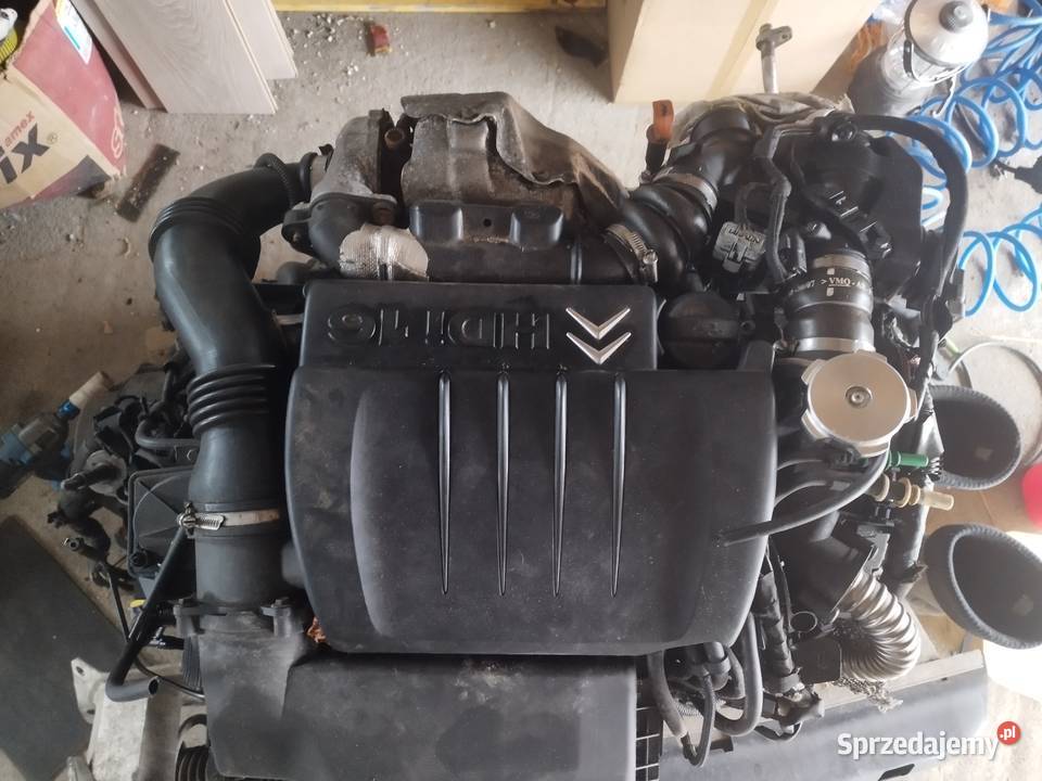 Silniki Citroen Berlingo 16 HDI Kartuzy