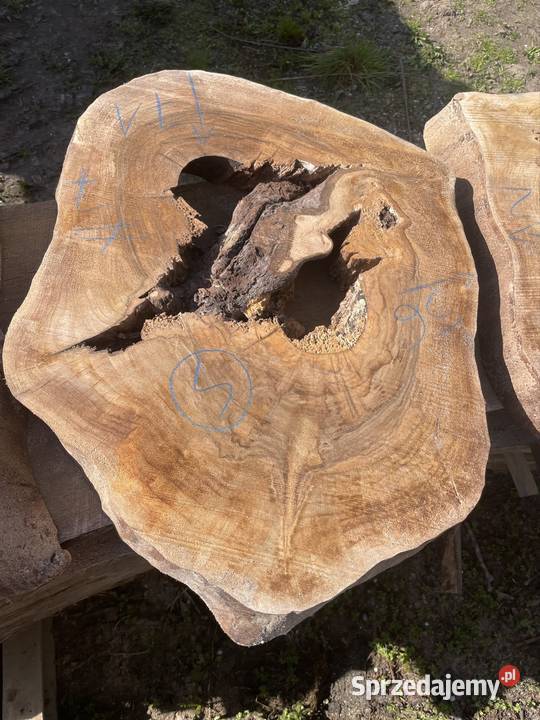 Plaster jesion orzech stolik kawowy live edge mazowieckie Przysucha