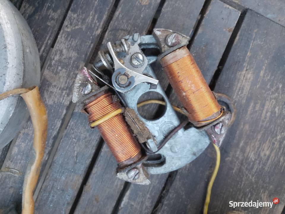 Komar Wierzchowina Riga Pakiet Całość