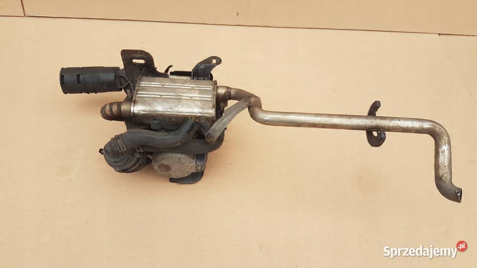 WEBASTO KOMPLETNE TOURAN CADDY 1K0815065AG Międzychód