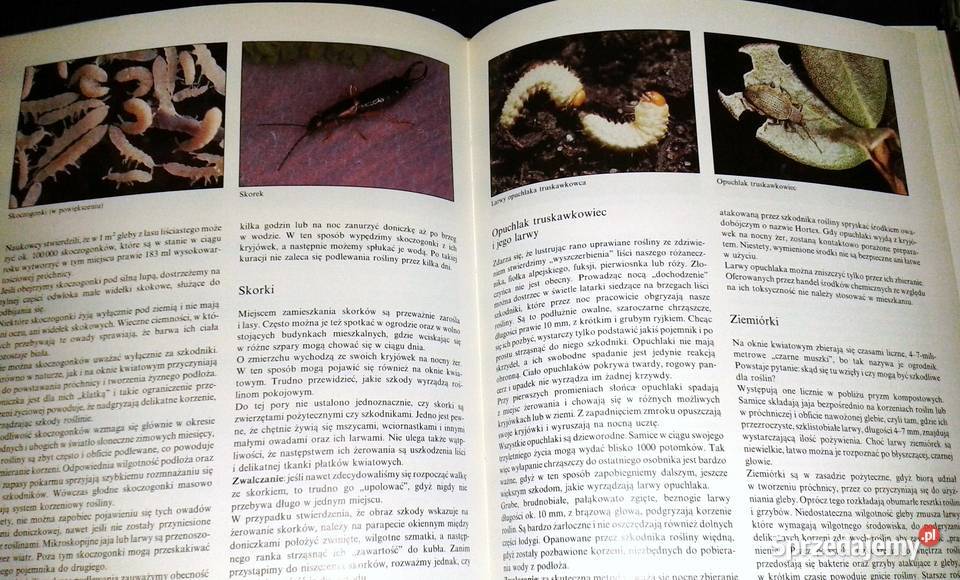 Choroby i szkodniki roślin pokojowych Gottfried Pozostałe Chełm