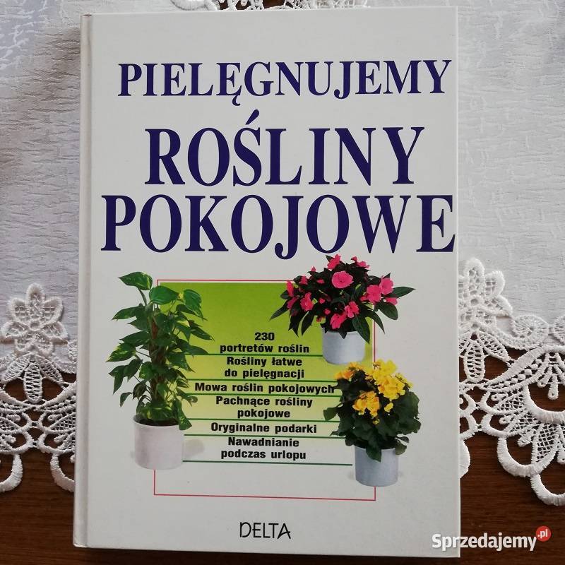 Pielęgnujemy rośliny pokojowe Sieradz sprzedam