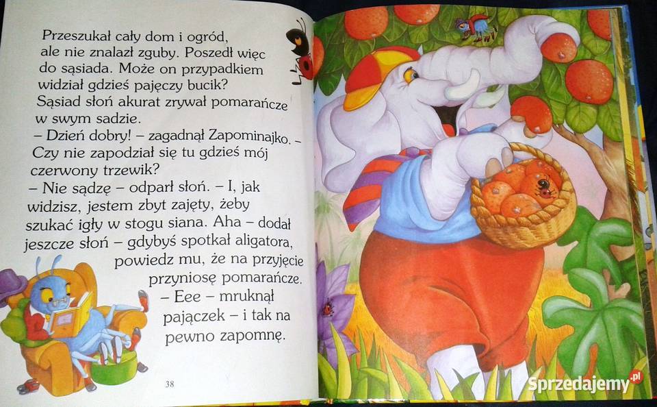 Uczę się Czytać Zwierzaki w tarapatach Patrycja Chełm