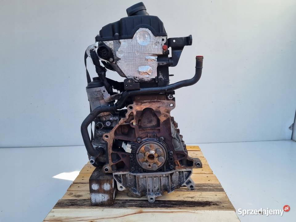 SILNIK BEZ OSPRZĘTU VW Caddy III 20 SDI 70 Rudka