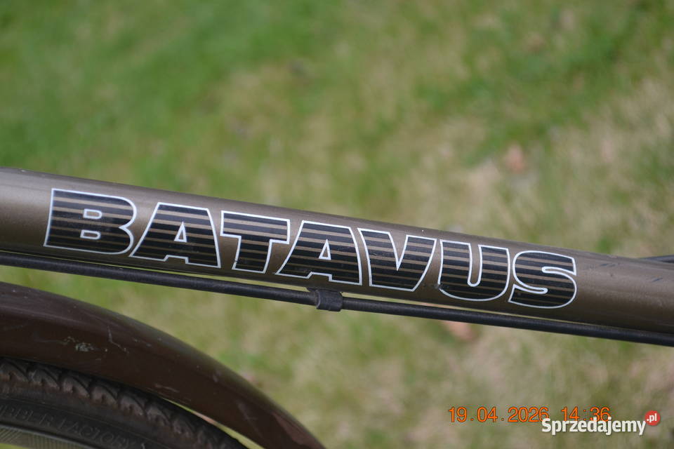 Rower miejski męski Miejskie wielkopolskie