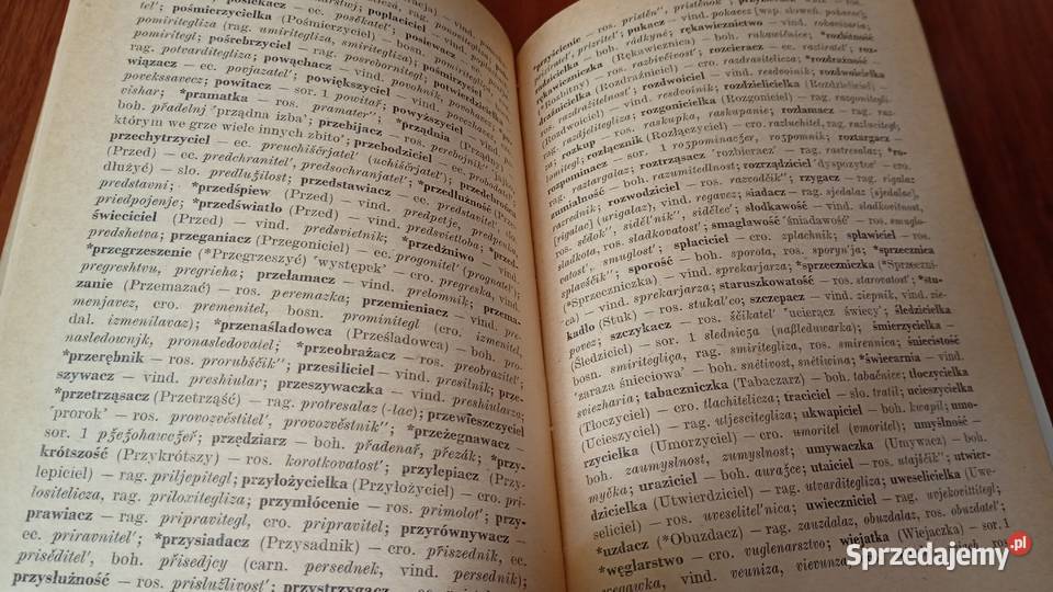 Panslawistyczne osobliwości leksykalne S B