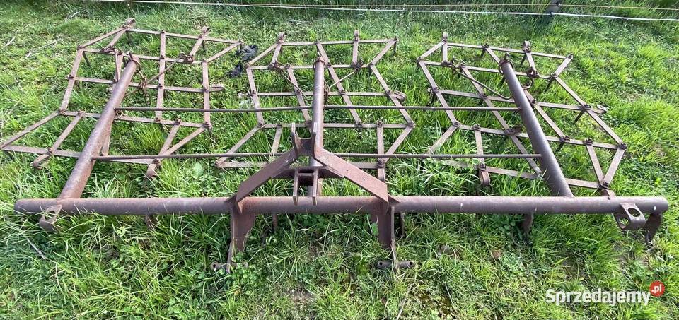 Brony polowe nieuszkodzony Kobyla Góra