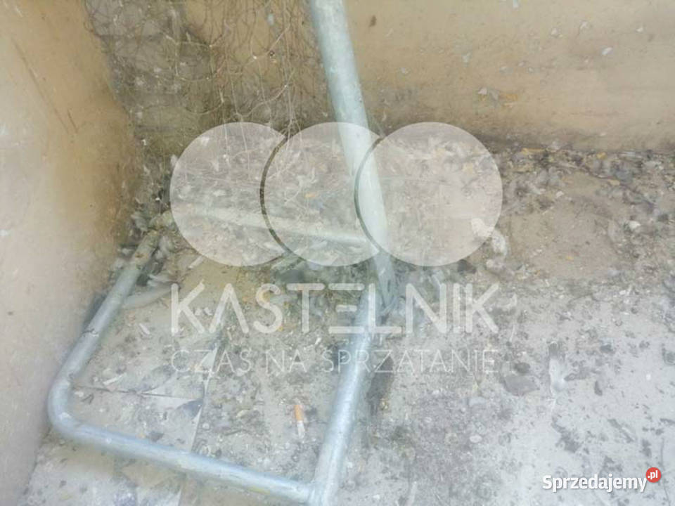 Sprzątanie gołębiach Kościerzyna Kastelnik mycie