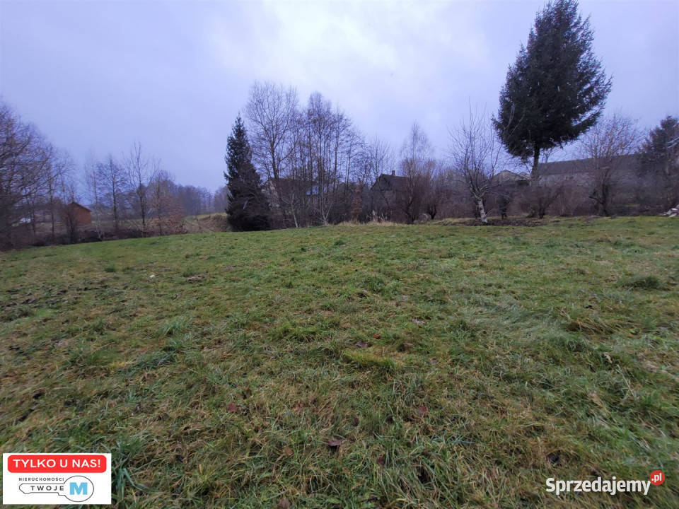 Grunt Bodzentyn 4800m2 świętokrzyskie