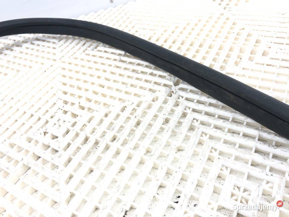 USZCZELKA DRZWI PRZÓD LEWA MINI COUNTRYMAN R60